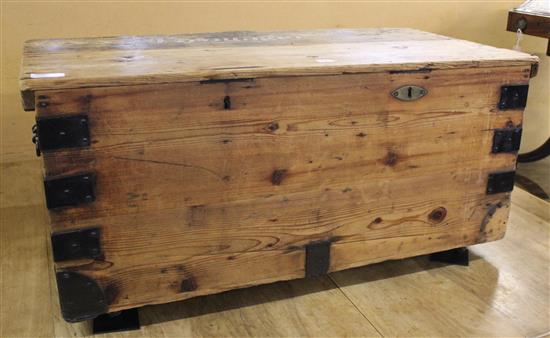 Pine trunk